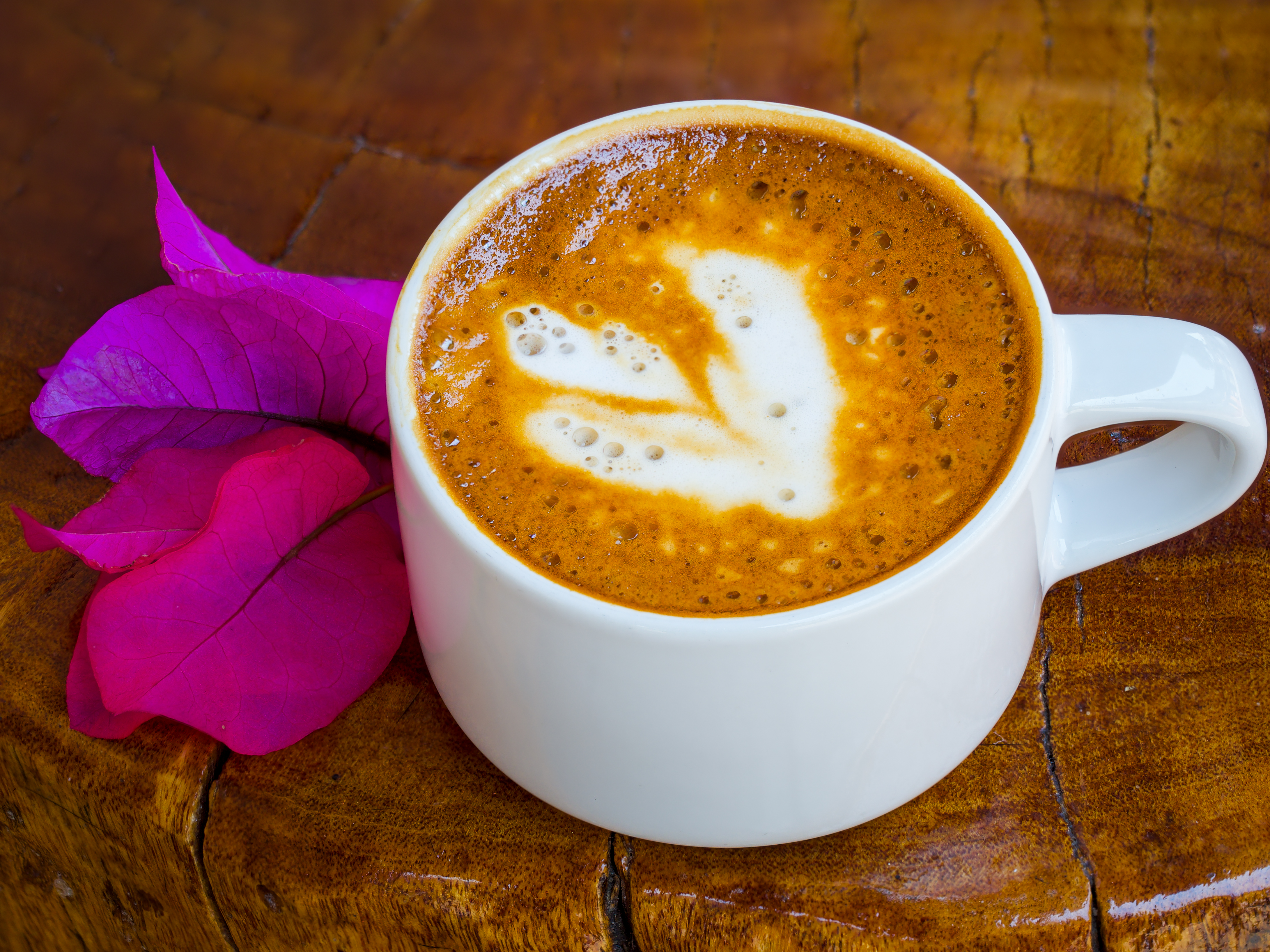 Taza café